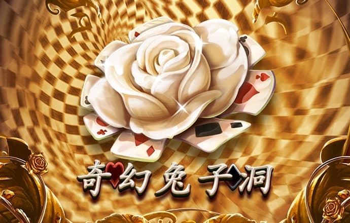k1体育登录入口手机版官网